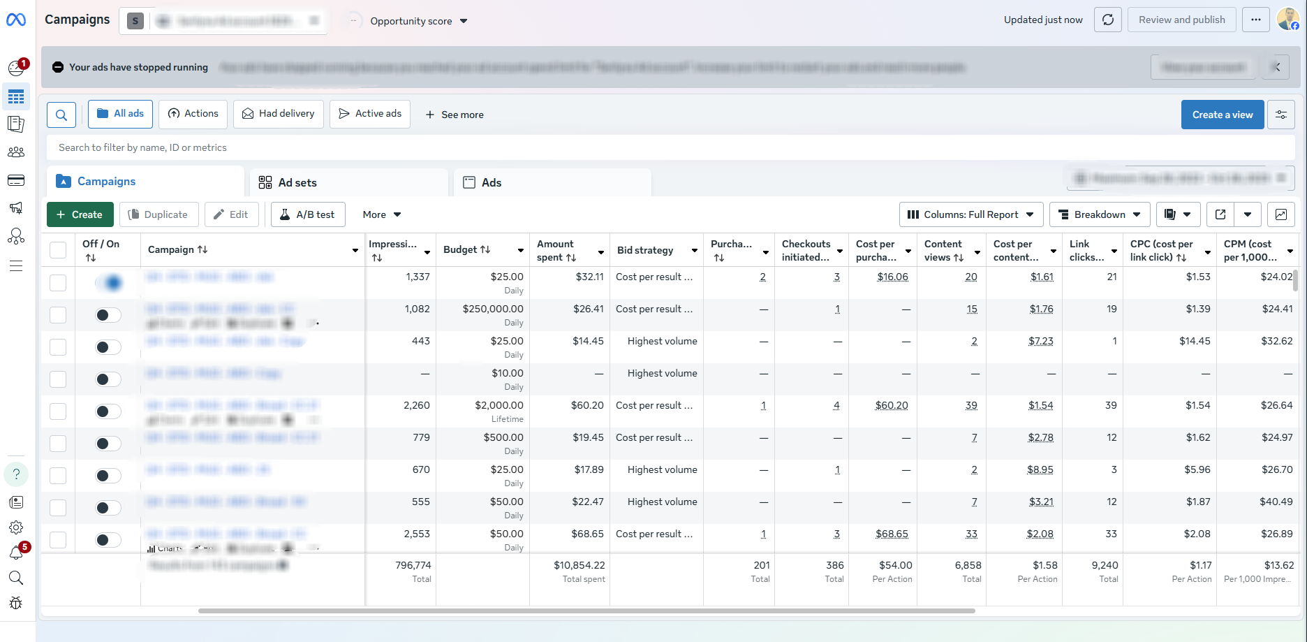 Facebook Ads Campaign Management
